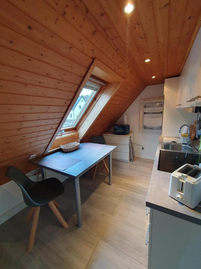 Ferienwohnung Haenel Antonshohe Екстериор снимка