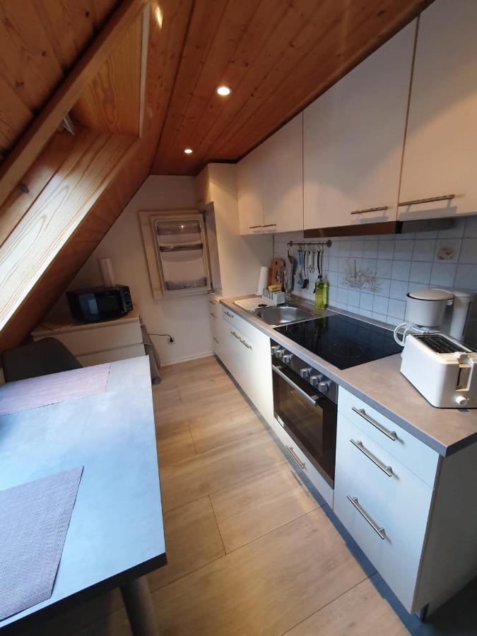 Ferienwohnung Haenel Antonshohe Екстериор снимка
