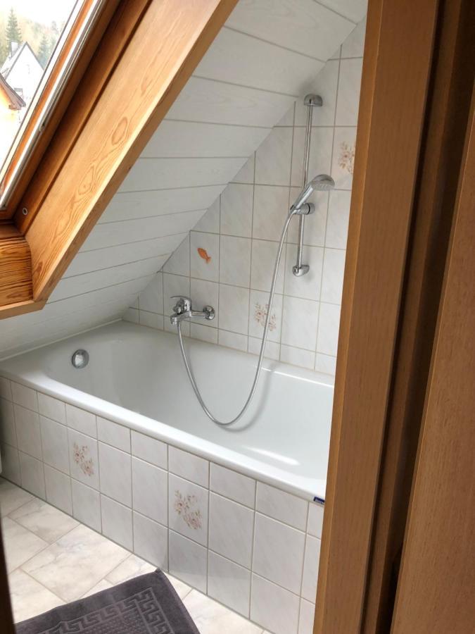 Ferienwohnung Haenel Antonshohe Екстериор снимка